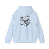 Load image into Gallery viewer, My Favorite Sea Creatures Hoodie — Ocean Aquarium Back Graphic
